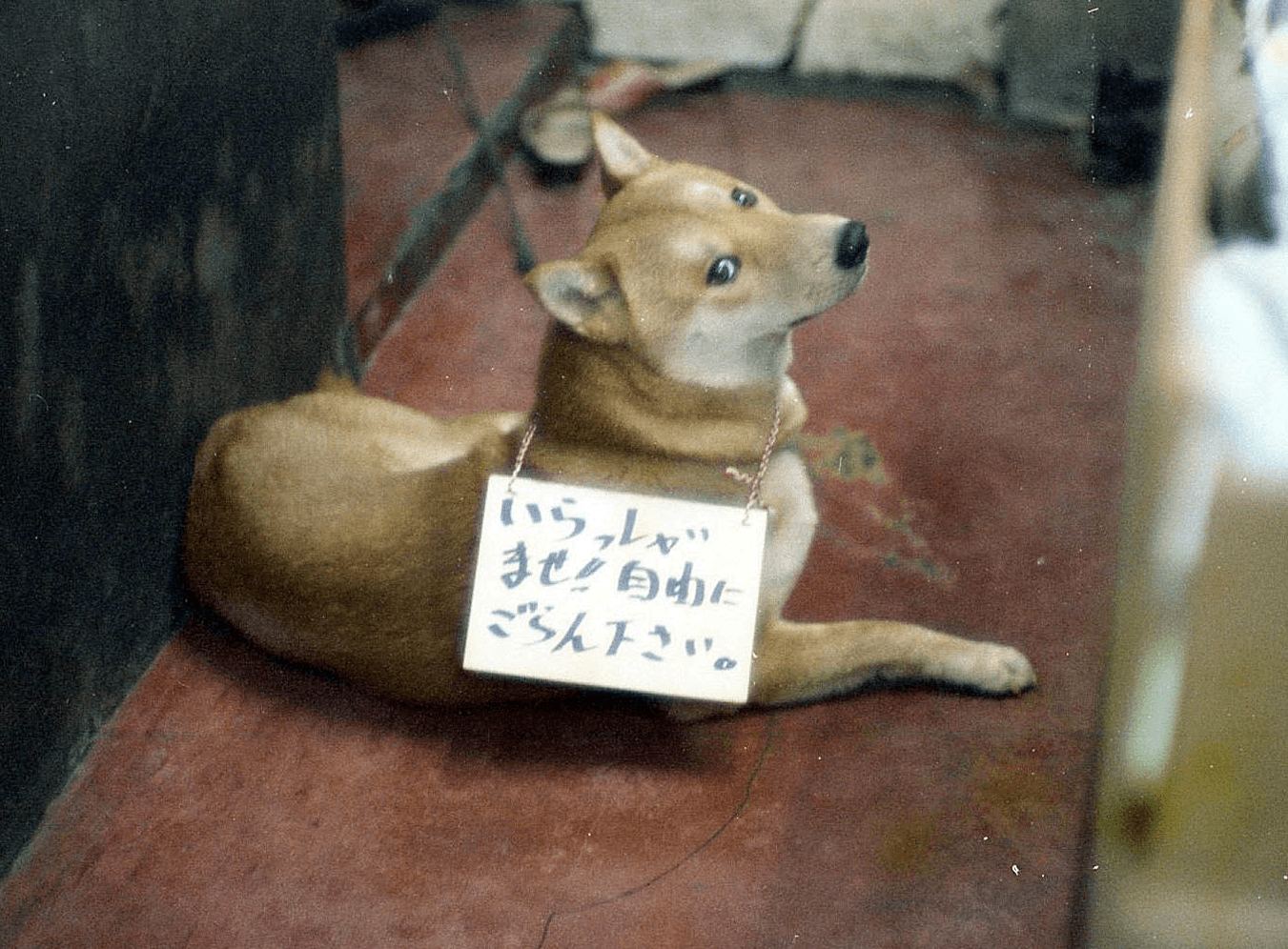 迷犬チャッピー