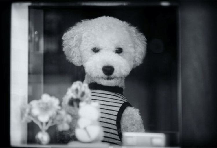 早田カメラの店先にて（2021）